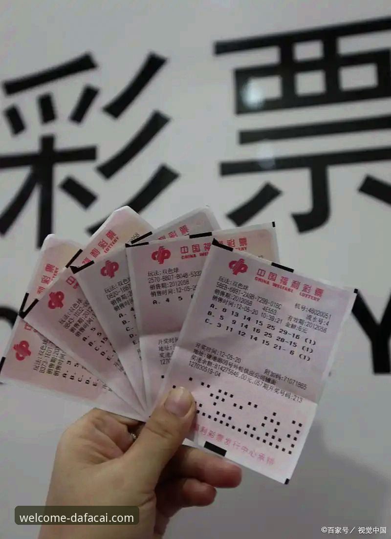 大发彩票官网注册入口最新动态：v2.1.3版本上线，用户操作体验全面升级